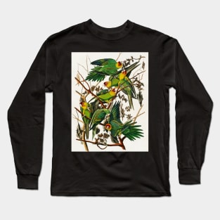 Bird of America  Bird, bird lover, america, beautiful  Public domain painting by John James Audubon Long Sleeve T-Shirt